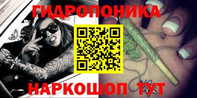 прущие крисы Краснодар