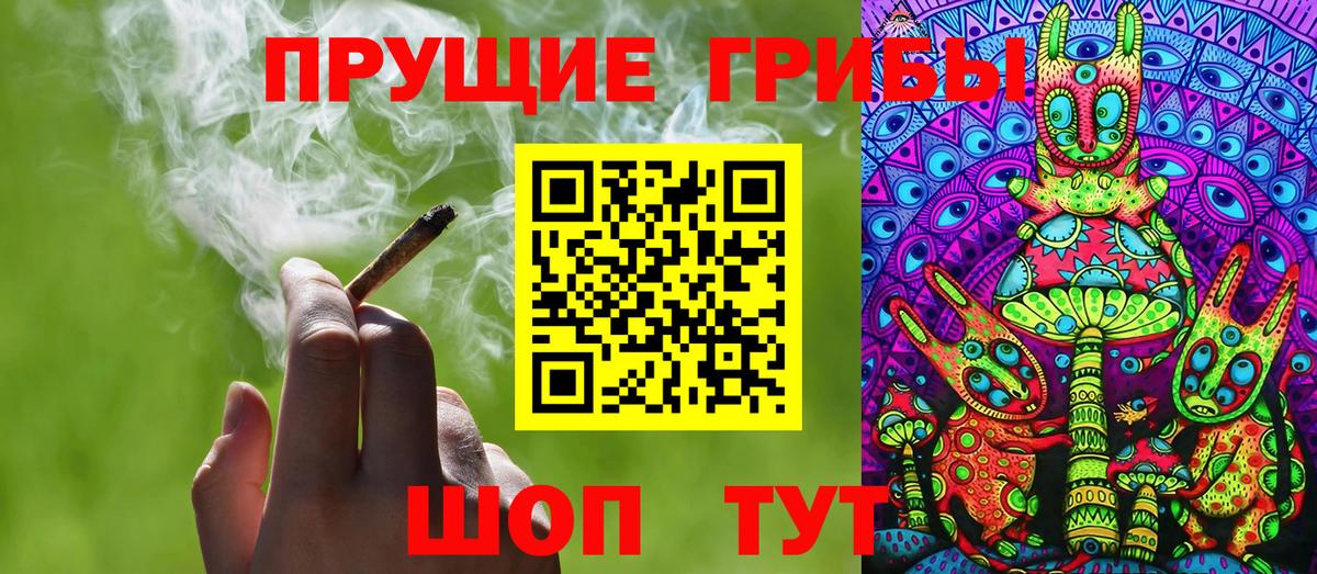 Галлюциногенные грибы Magic Shrooms  Вход с VPN  Канаш  Псилоцибиновые грибы GOLDEN TEACHER 