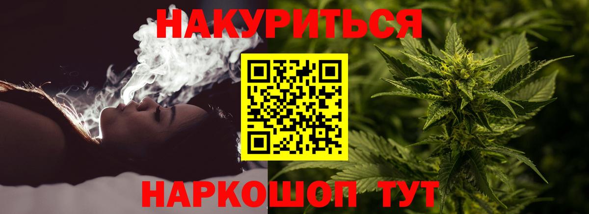 Бошки Шишки план Канаш